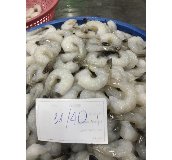 TÔM THẺ KHÔNG ĐUÔI ĐÔNG LẠNH